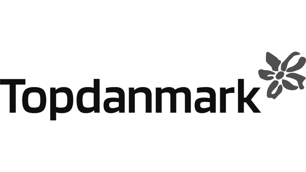 Autoglasreparation til forsikringsskader, hurtig og professionel service.