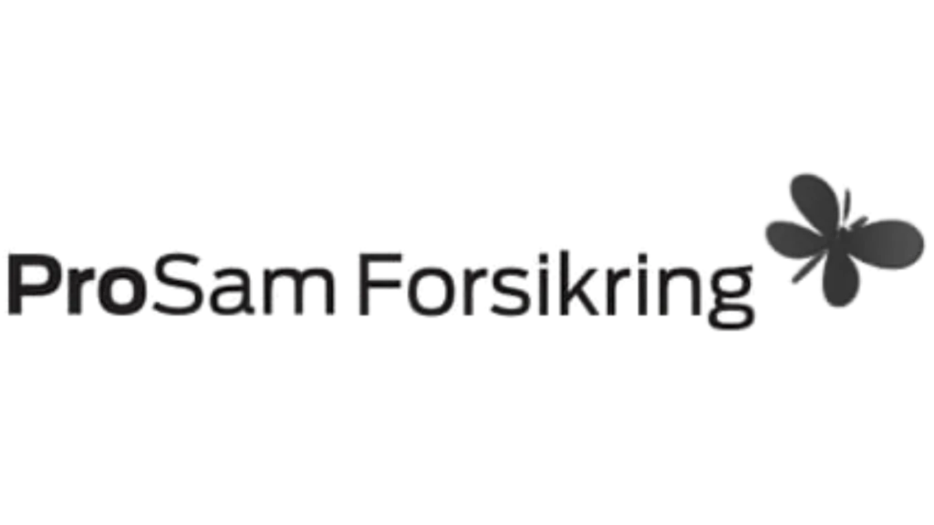 Professionel bilglasreparation til forsikringsskader på biler.
